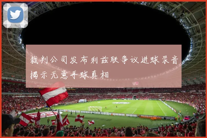 裁判公司发布利兹联争议进球录音揭示无意手球真相