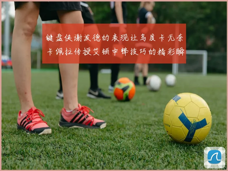 键盘侠谢泼德的表现让乌度卡无奈卡佩拉传授艾顿中锋技巧的精彩瞬间